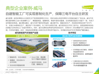 2025年新能源市场展望 威马等企业潜力无限，技术咨询服务助力行业腾飞